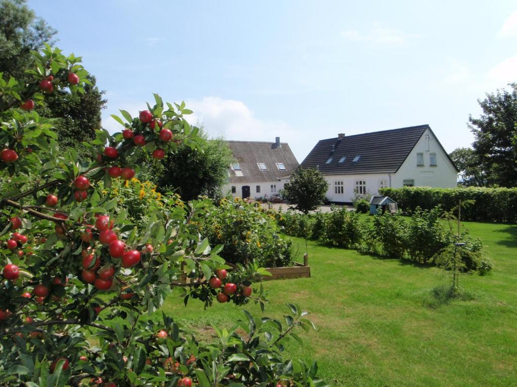 Ruhetgaard Holiday Apartment Aeroskobing Quarto foto